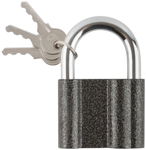 Замок навесной стальной корпус PALLADIUM (601S) 70х54 мм стальная дужка 11 мм (00009302) фото 1